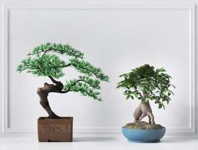 新中式植物组合3D模型下载